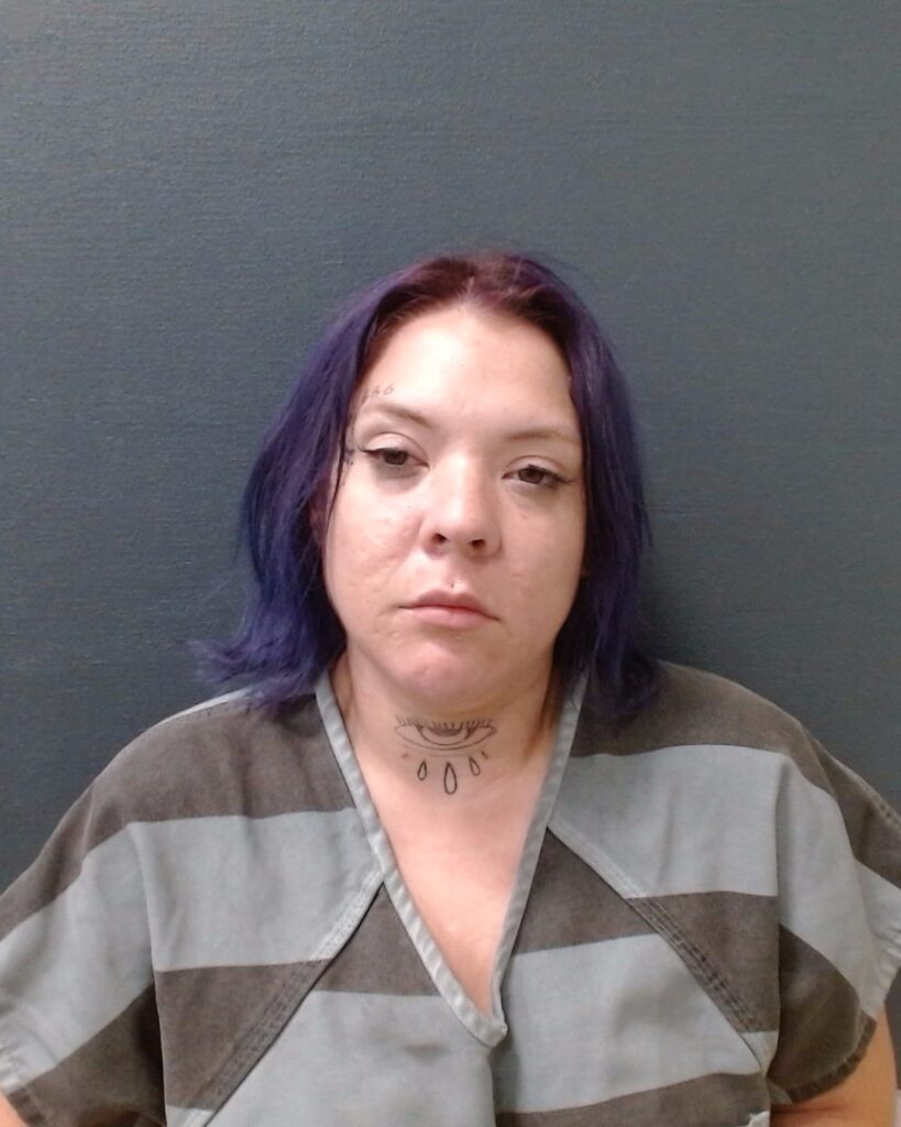 VILLARREAL, LISA RENEE arrested in Comal County, Texas mugshot