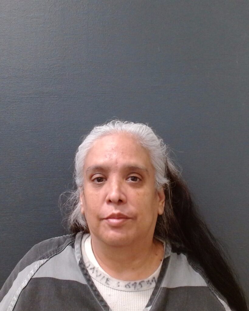 GARZA, BARBARA TREVINO arrested in Comal County, Texas mugshot