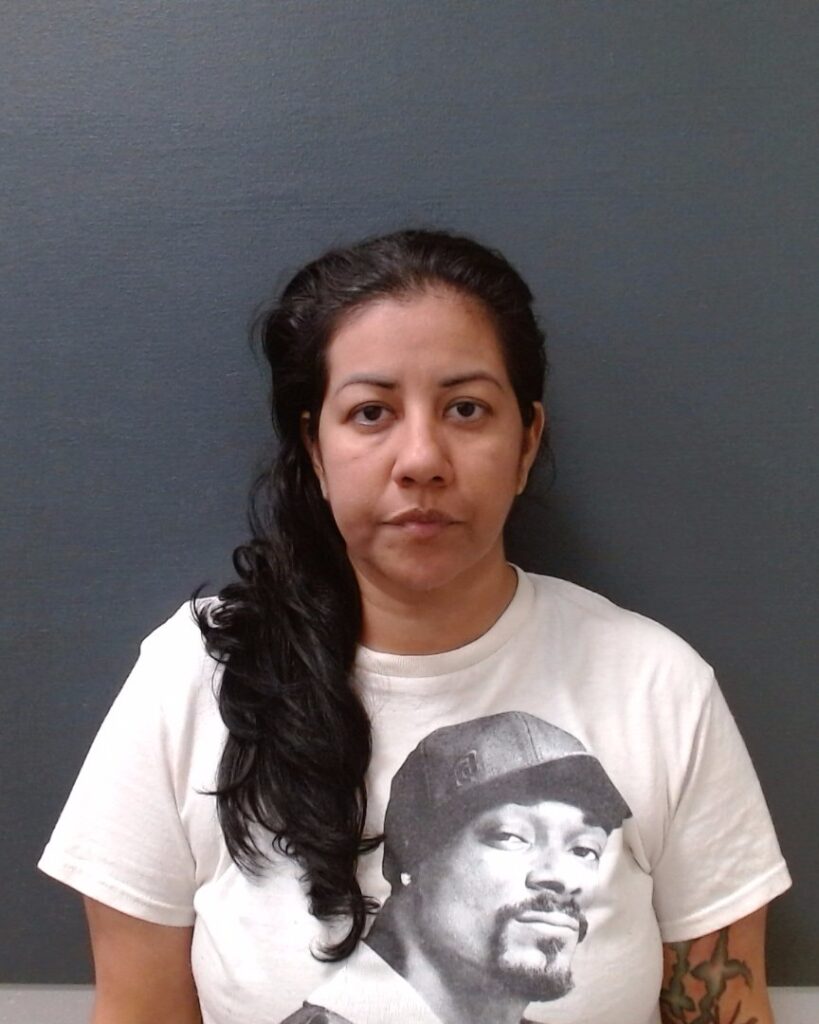 HERNANDEZ, MYRA NALLELY arrested in Comal County, Texas mugshot