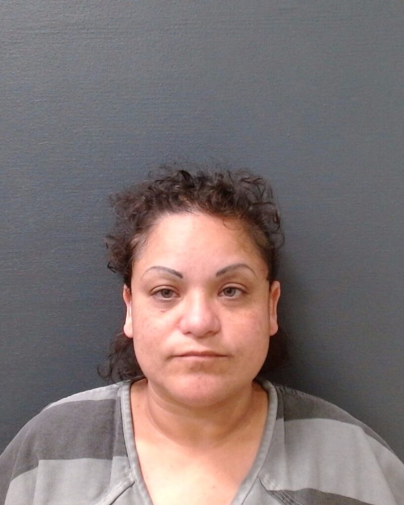 PEREZ, APRIL ANN arrested in Comal County, Texas mugshot