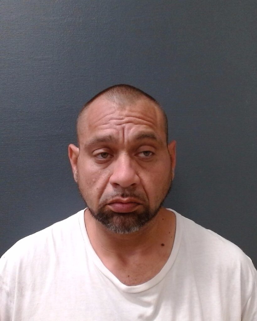 SALINAS, FRANCISCO ALCTORA, Jr. arrested in Comal County, Texas mugshot