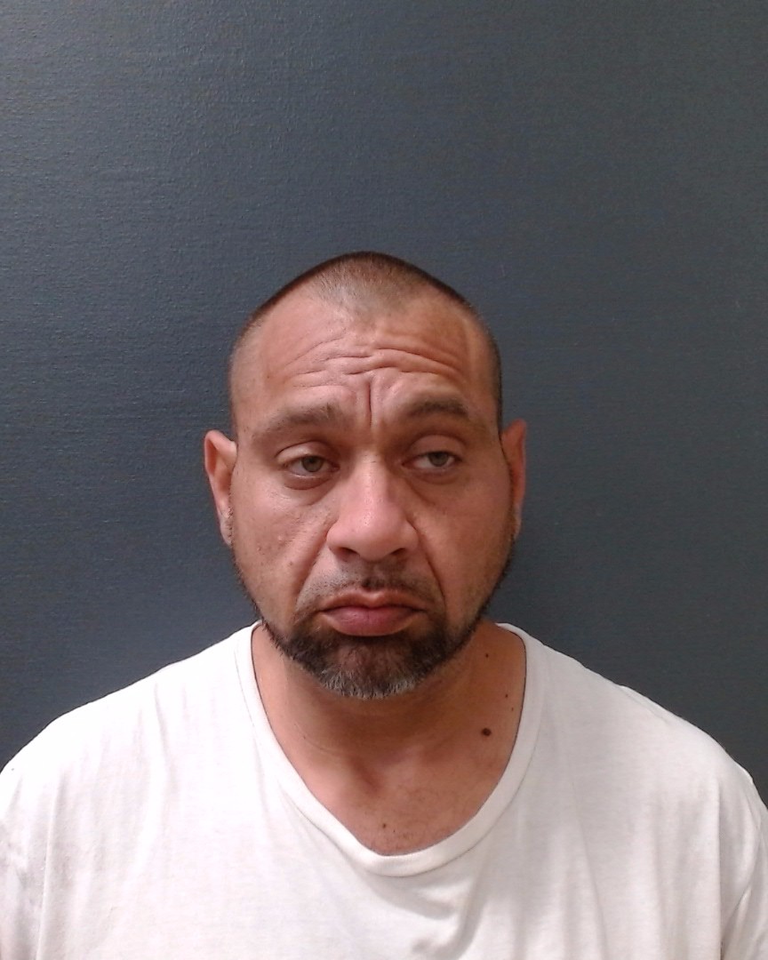 SALINAS, FRANCISCO ALCTORA, Jr. booking photo