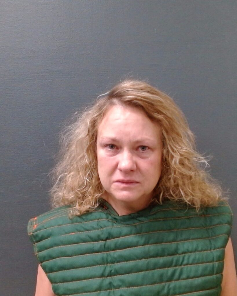 FOERSTER, RENEE CHRISTINE arrested in Comal County, Texas mugshot