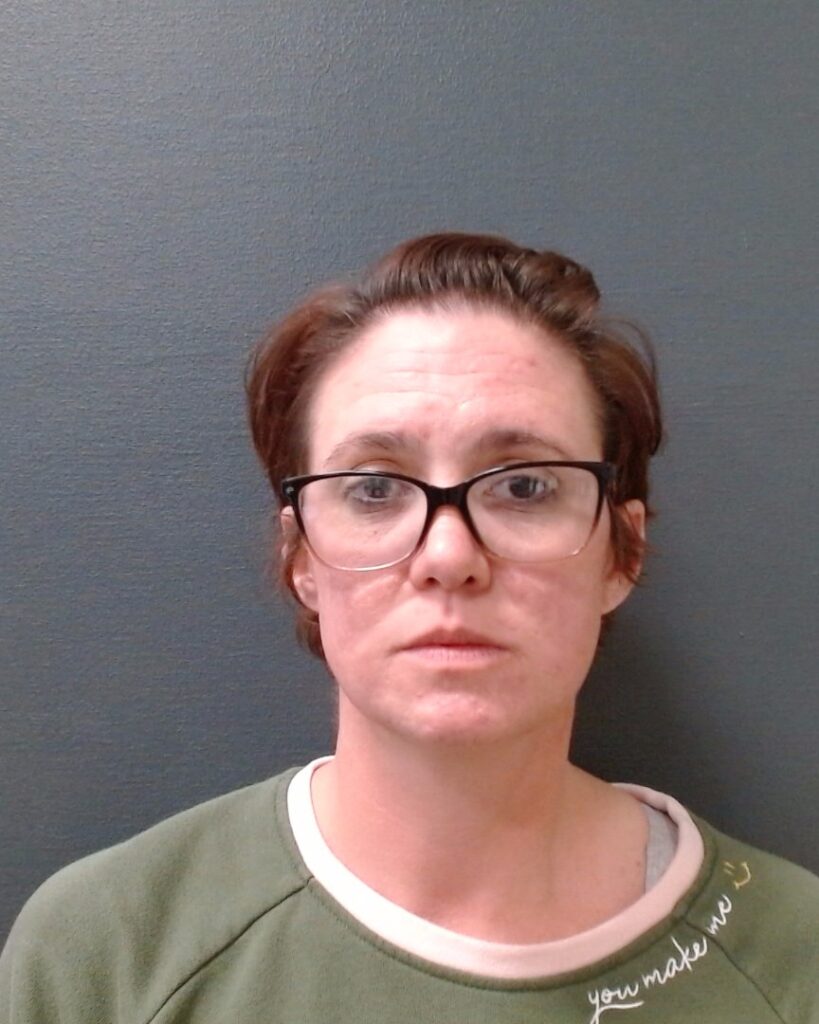 HODGES, LAURA KAY arrested in Comal County, Texas mugshot