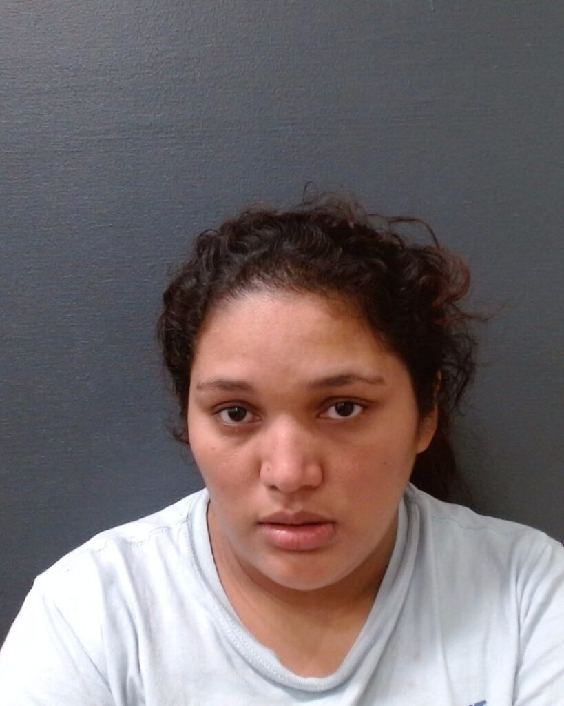 ZAVALA-CANALAS, DIEMIN YANETH arrested in Comal County, Texas mugshot