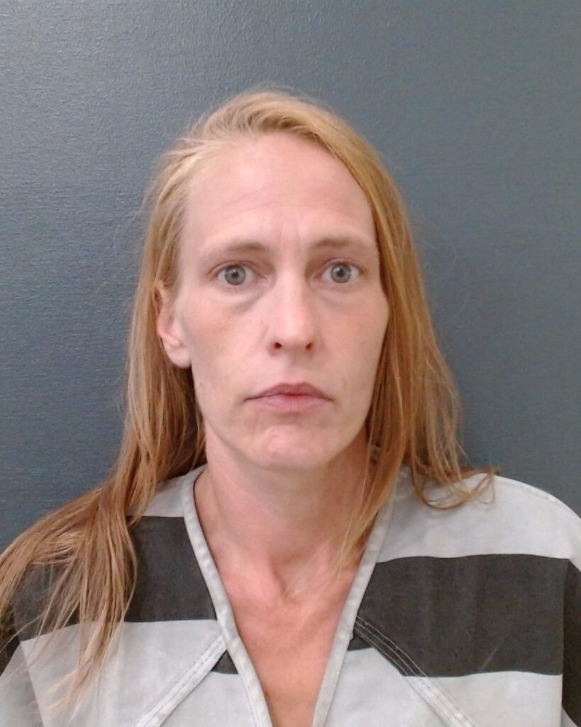 PARKER, ERIN ROSE arrested in Comal County, Texas mugshot