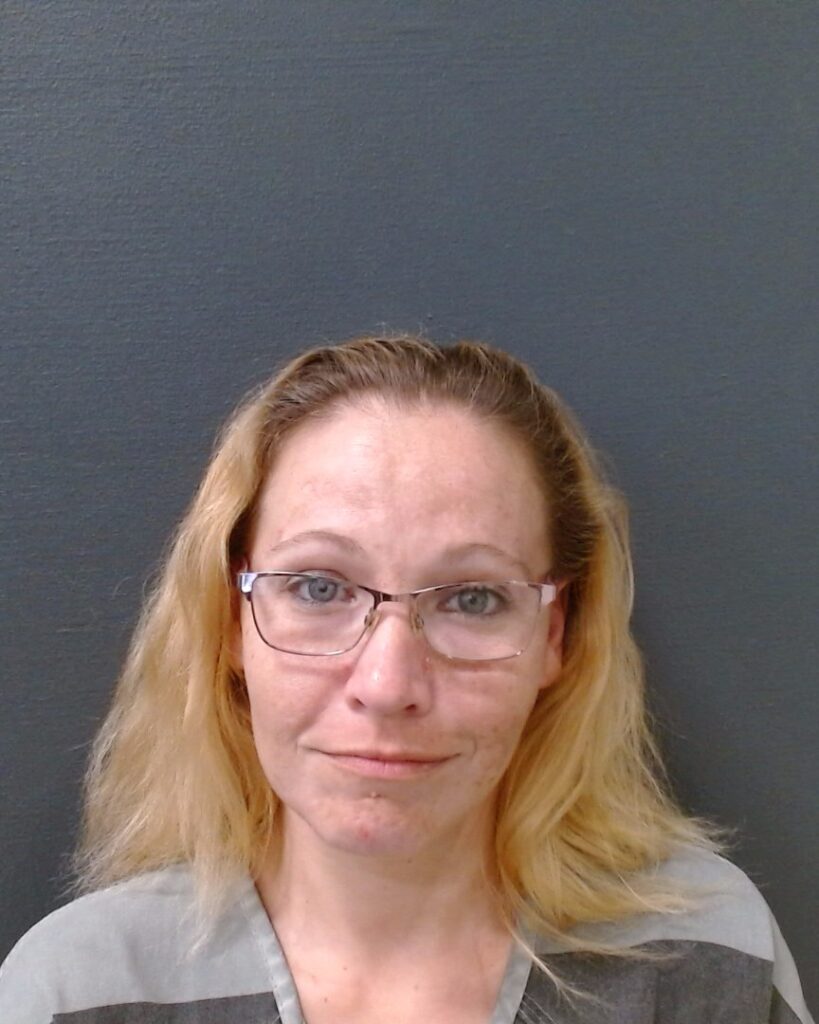 COCKROFT, TONI MARIE arrested in Comal County, Texas mugshot