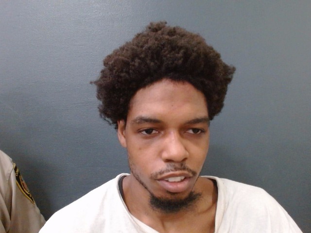 KING, PATRICK JAURICE booking photo