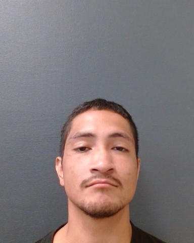 YOUNG, ROBERT, Jr. booking photo