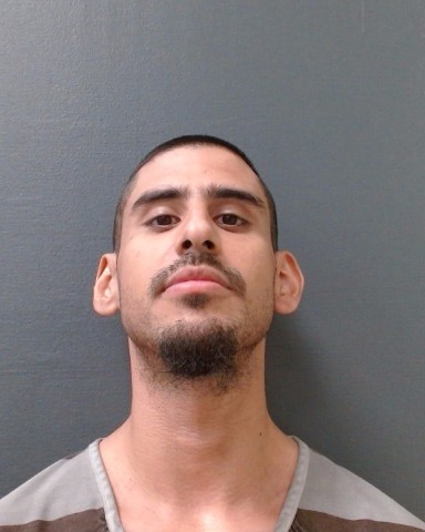 PAEZ, JUAN ANGEL booking photo