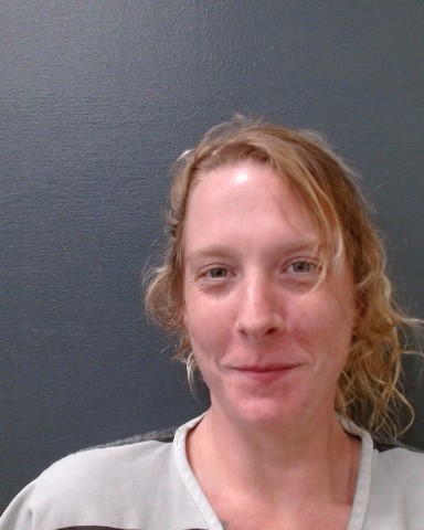 BRANDT, KRISTI MARIE booking photo