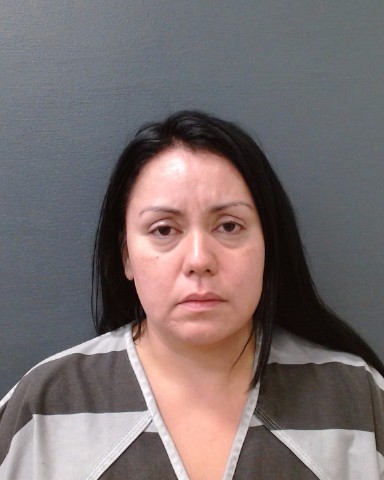 SAUCEDA, CHRISTINE LORAINE booking photo