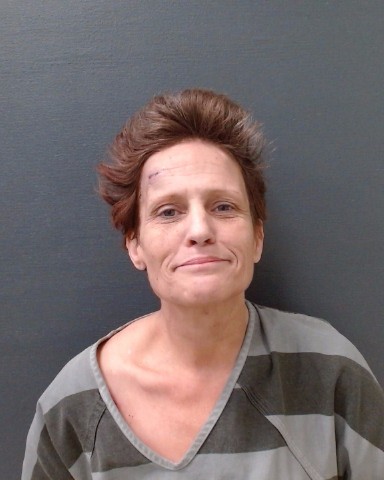 PATE, TARA ANN booking photo