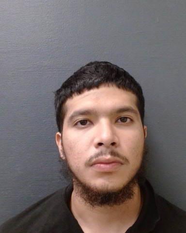 LOPEZ, LUIS FERNANDO booking photo