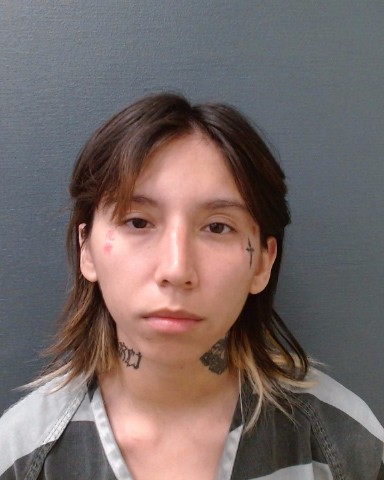GALLEGOS, SAMANTHA LUPE booking photo