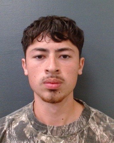 ALBANESE, ROBERT A booking photo