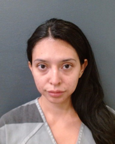 HERNANDEZ, SYDNEY NICOLE booking photo