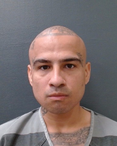 RODULFO, EFRAIN, Jr. booking photo