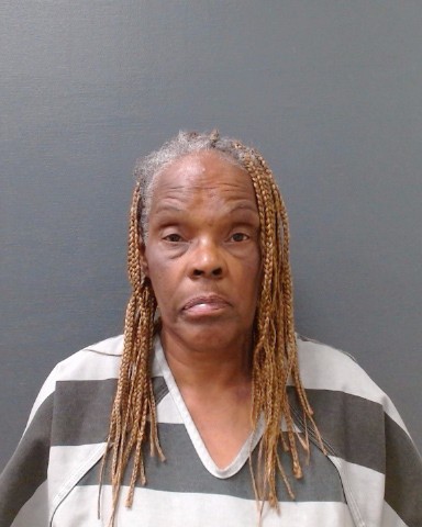 MILLETT, SHEILA DIANE booking photo