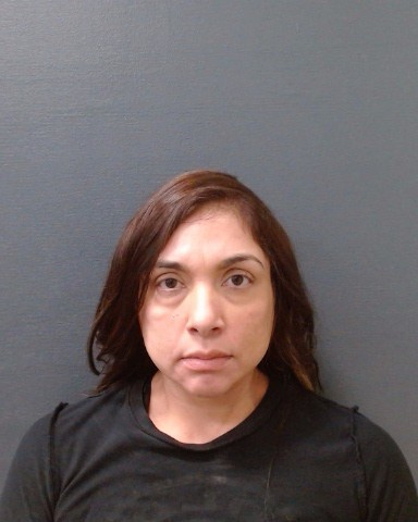 ROSAS, MIRIAM LIANA booking photo