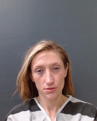 NORWITZ, STEPHANIE DIANE booking photo