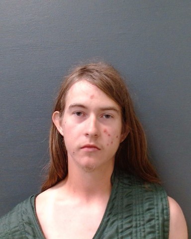 WATKINS, MATTHEW ELISHA booking photo