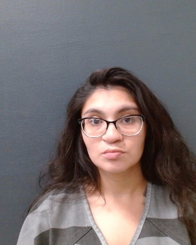 PAMA, SAVANNAH booking photo