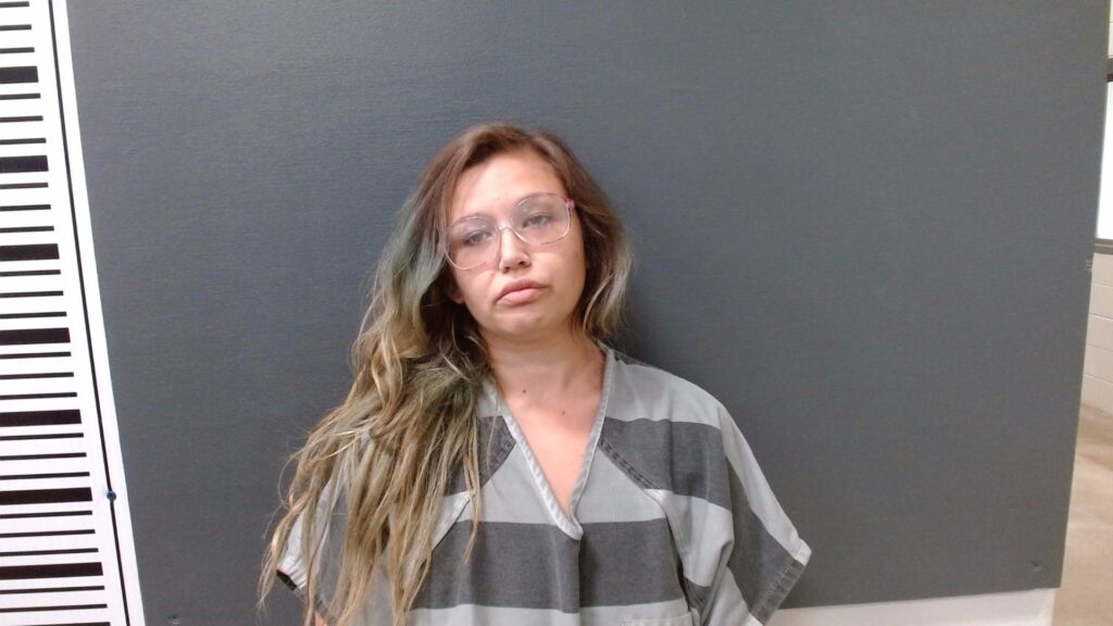 PRENTICE, AMY DANIELLE booking photo