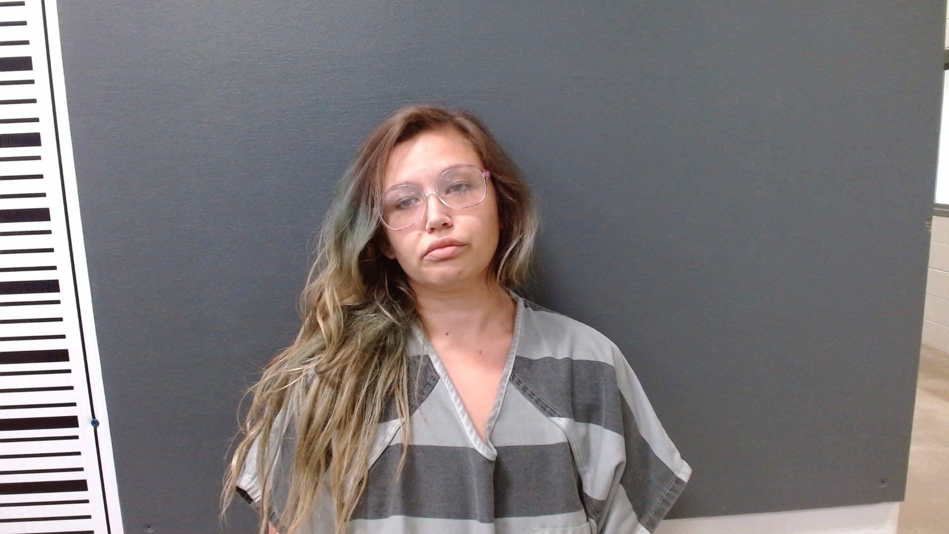 PRENTICE, AMY DANIELLE booking photo