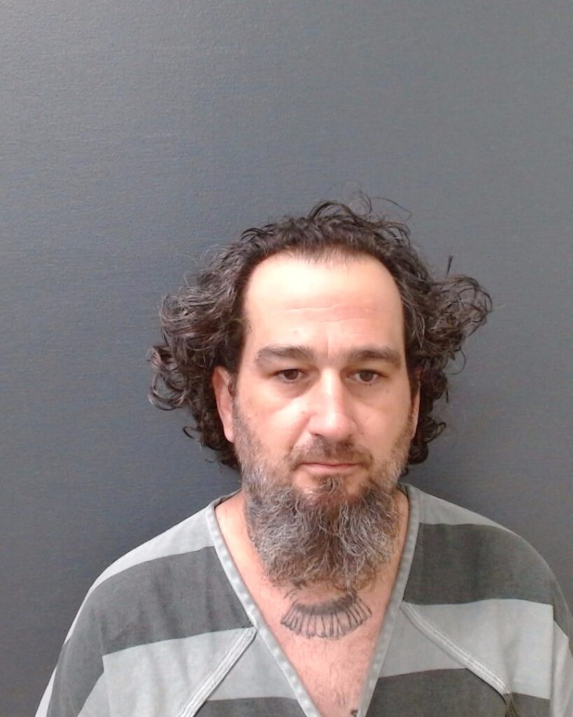 LEDGER, AARON BRYAN booking photo