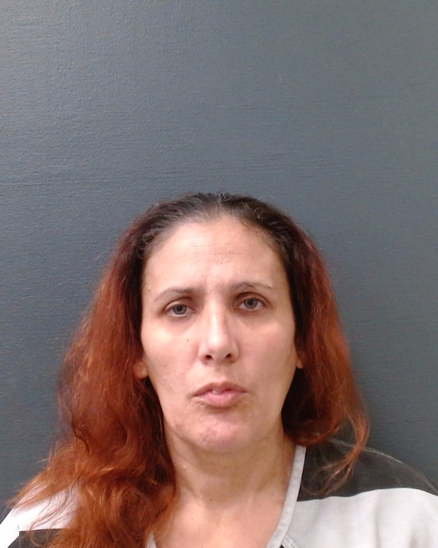 VILLASENOR, RACHEL ANN booking photo