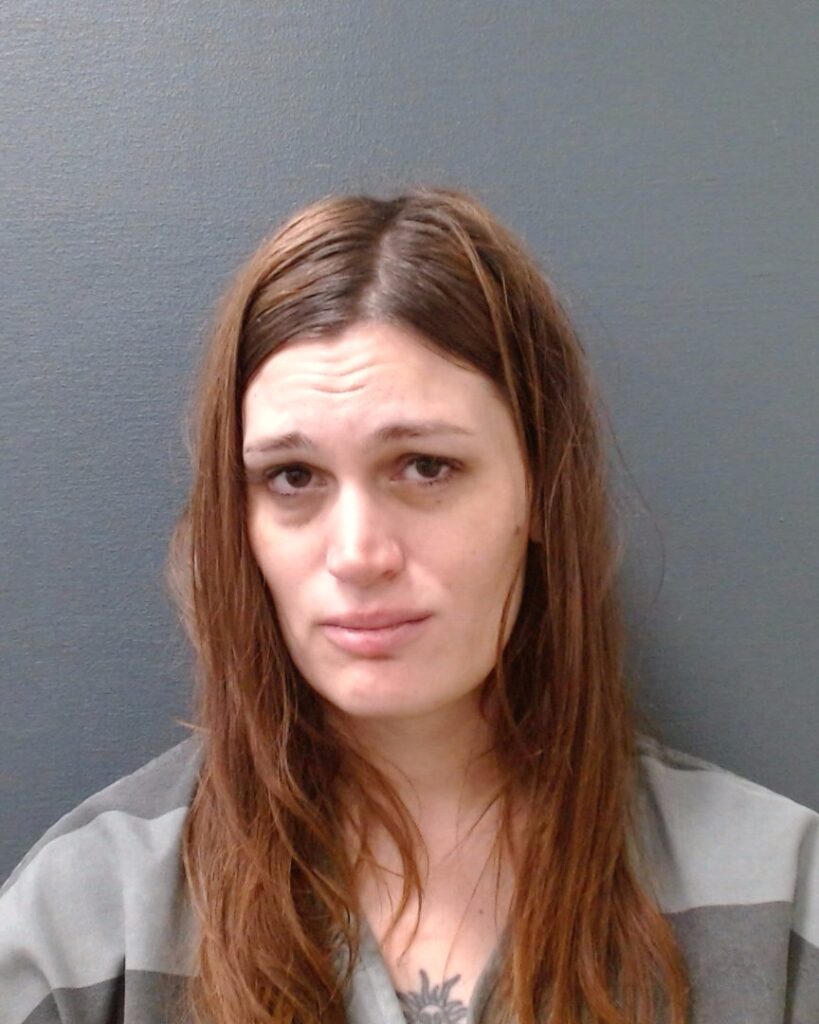 WATT, KELSEY MEGAN booking photo