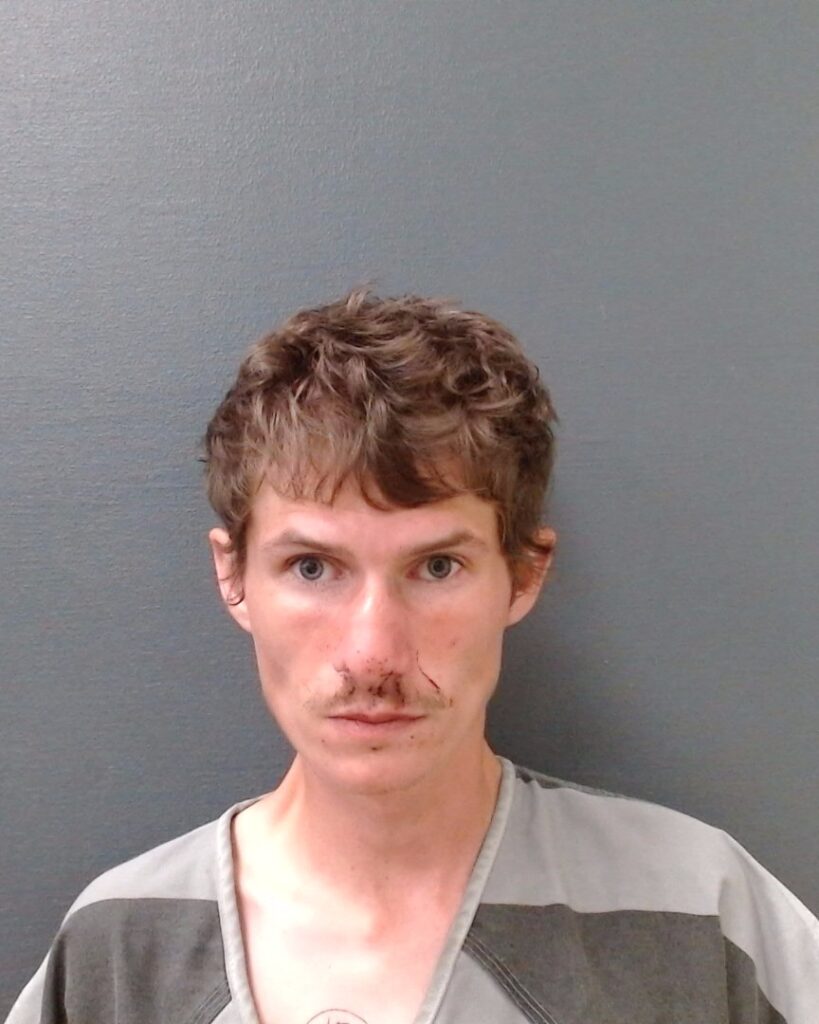 WESLOH, KRISTOFER MICHAEL booking photo