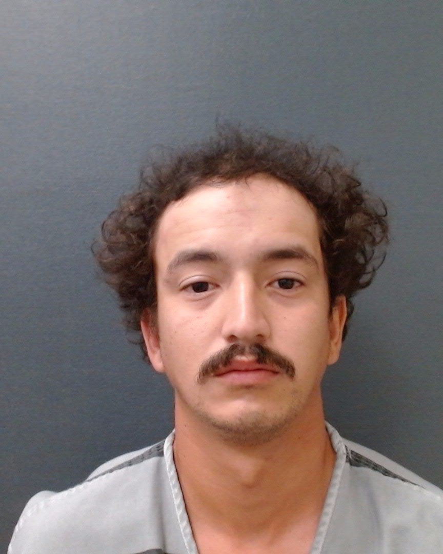 RODRIGUES, MATHEUS booking photo