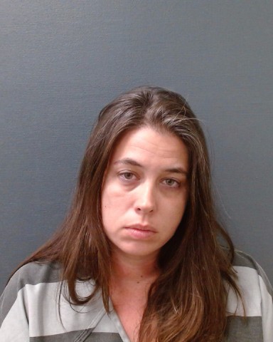 ABBOTT, KRISTEN CAROL booking photo
