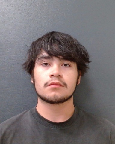 DAVILA, DAMIAN ISAAC booking photo
