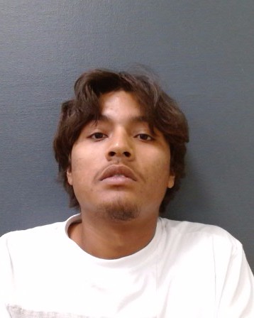 PATINA-ELIZLADE, MATTHEW LEE booking photo