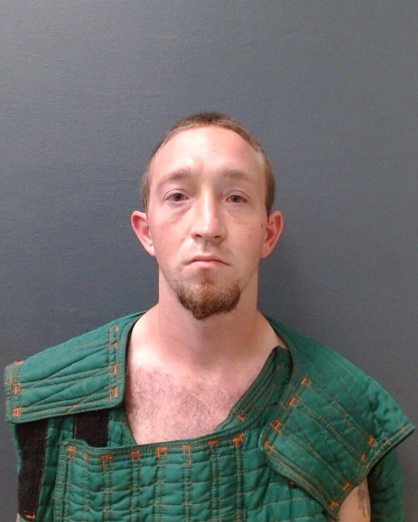 HANSMANN, TIMOTHY LEE booking photo