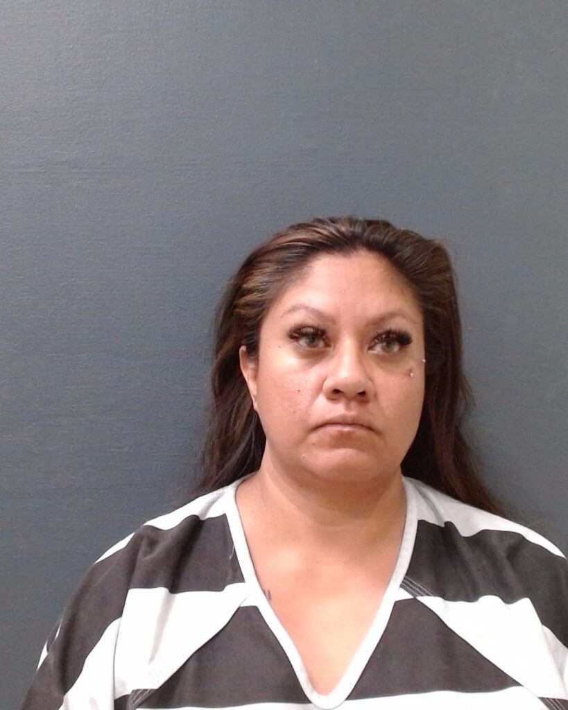 CASTILLEJA, JULIE ANN booking photo