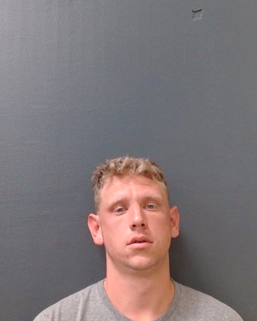 BLEEKER, BRANDON LEVI booking photo