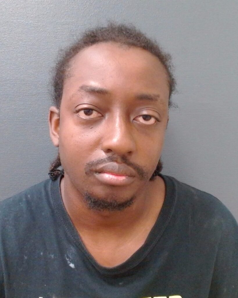 MCDANIEL, TYLER CHRISTEN booking photo