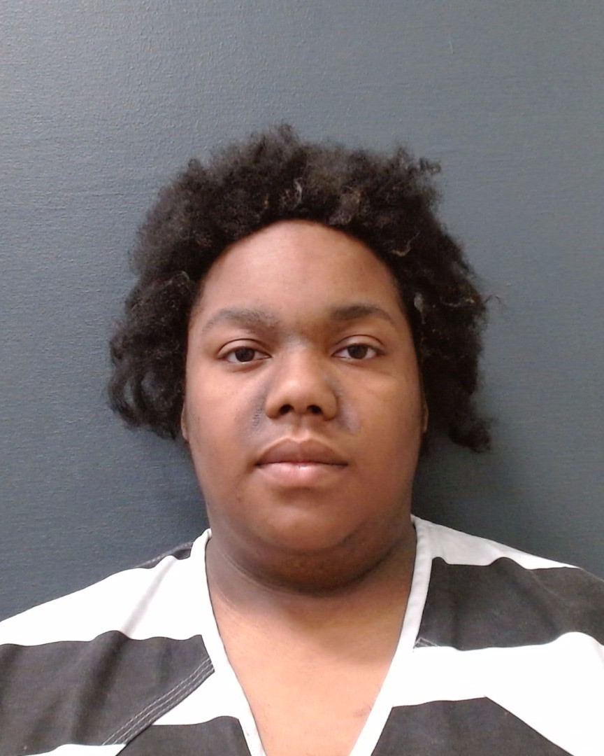 FLEMMINGS, AMIYA MONAE booking photo
