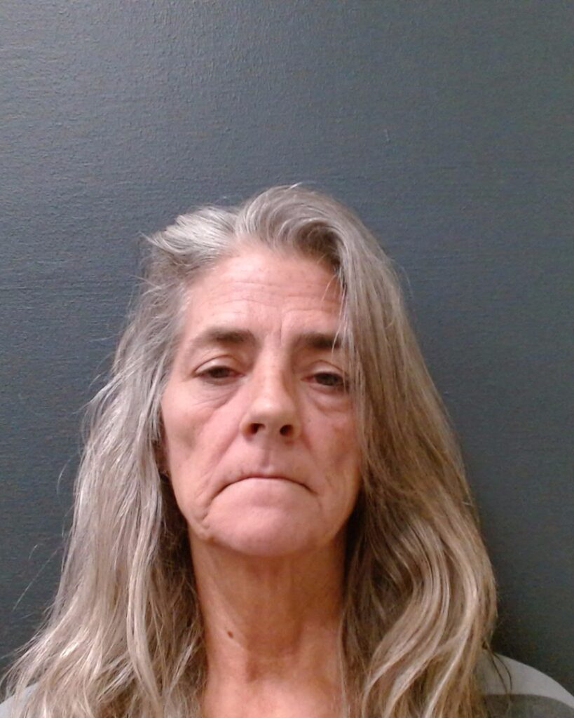 TAYLOR, SUSAN DAWN arrested in Comal County, Texas mugshot