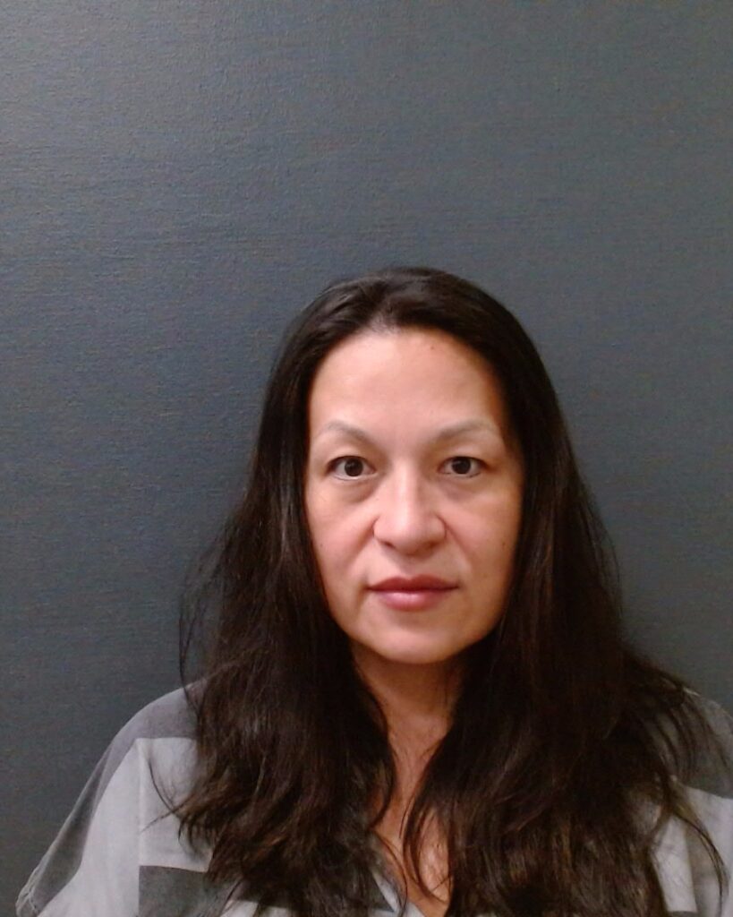 MORENO, AMANDA EILEEN arrested in Comal County, Texas mugshot
