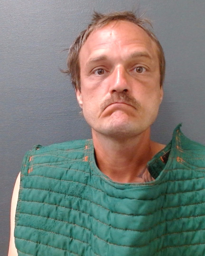 FARISH, BRYAN MICHAEL booking photo