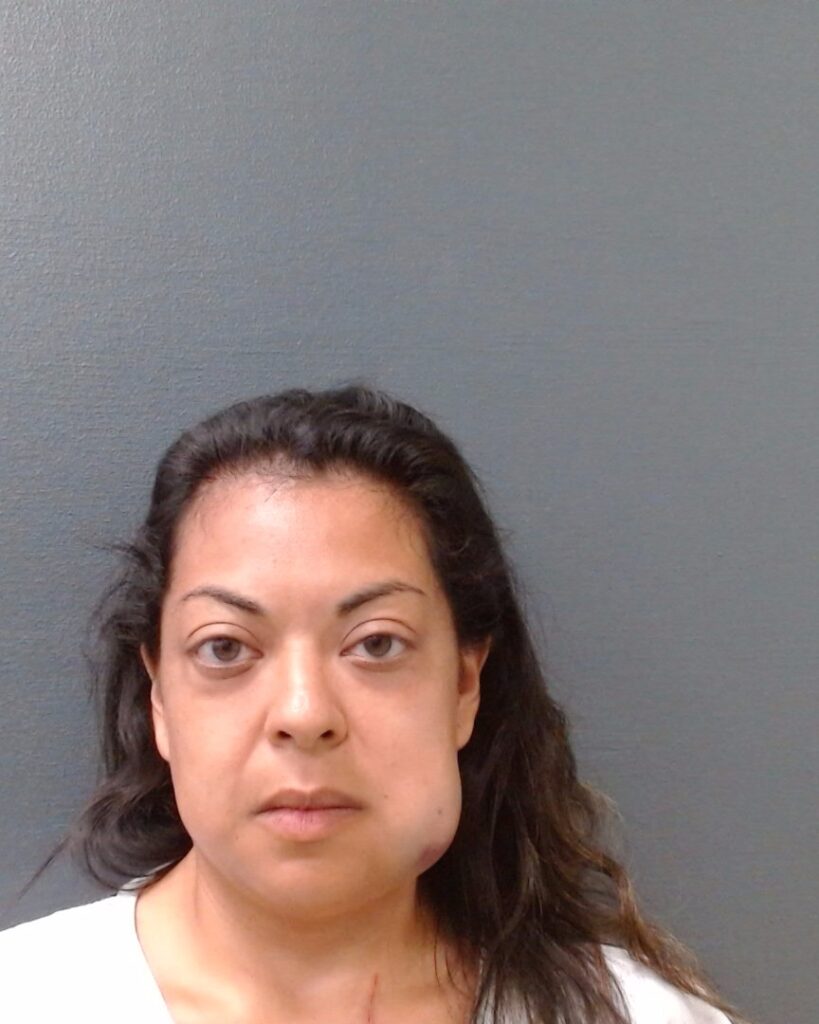 TORREZ, MANUELA SANCHEZ arrested in Comal County, Texas mugshot