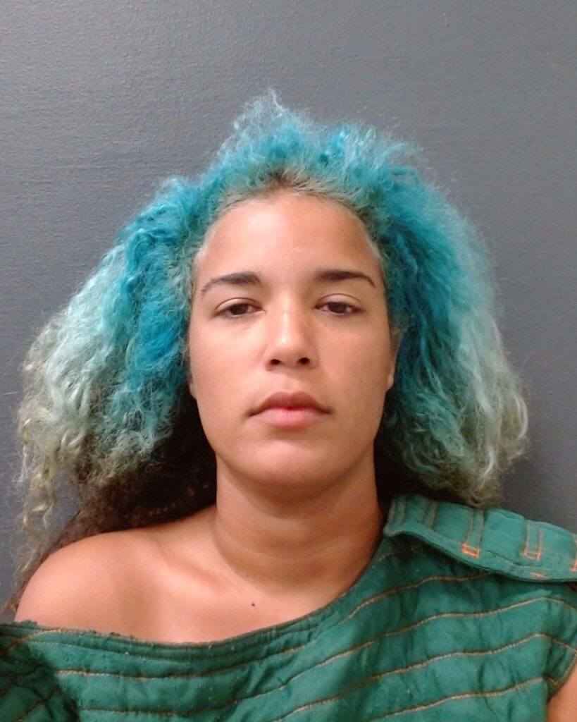 BRILEY, CHELSEA NICOLE arrested in Comal County, Texas mugshot