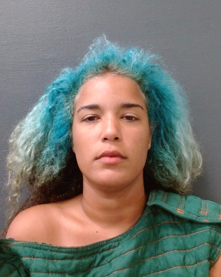BRILEY, CHELSEA NICOLE booking photo