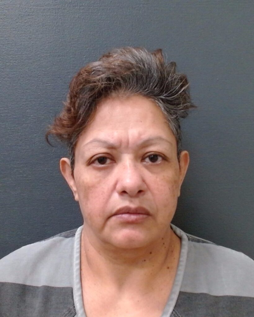 FLORES SABAG, CLAUDIA arrested in Comal County, Texas mugshot