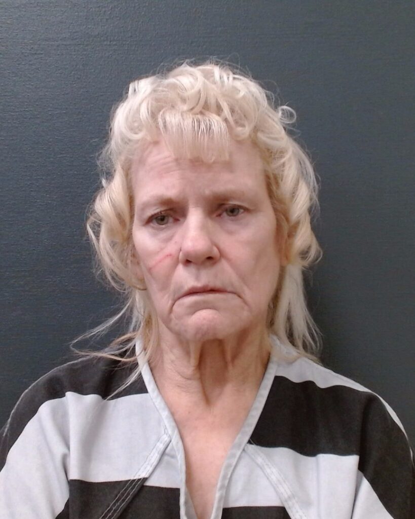 DOWERS, PATRICIA SUPLICK arrested in Comal County, Texas mugshot